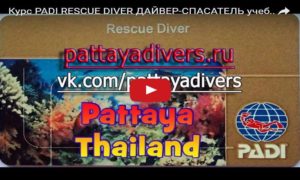 Курс PADI - Rescue diver