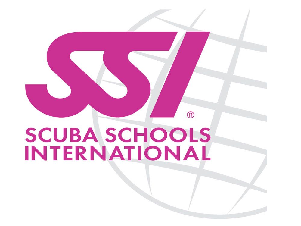 SSI — интернациональная школа