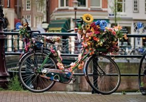 Велосипед в цветах